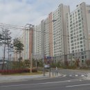 국가대표 엘리트 태권도장 이미지