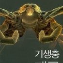 간파나라 이미지