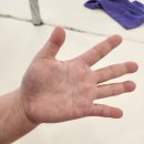 젤라인댄스