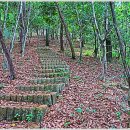 선소관광안내소 이미지