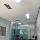 디어펫살롱 이미지