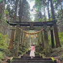 신사운전길 | 일본에서 가장 신비로운 신사, 아소산 가미시키미 쿠마노이마스 신사 주차, 가는 법, 후기