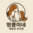 땅콩애견유치원 | 땅콩애견유치원 일산점 이용 전 서비스 범위 체크포인트