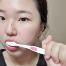퍼밀(fermeal) 천연치약, 잇몸질환 개선, 구취 제거에 효과적인 루페 치약 후기
