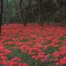 다시가고싶은 이미지