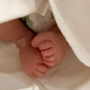 분당제일산후조리원 2관 이미지