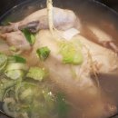 산야초산삼백숙 티스토리