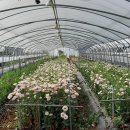 동중농장 이미지