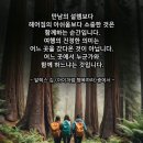 2024년 11월16(토) 대전 계족산성 가을여행 이미지