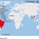 그래픽바이러스 이미지