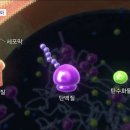 피부를 말하다 이미지