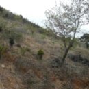 합성동102 이미지