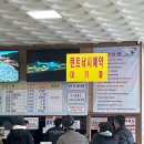 송어축제 | 강원도 평창 송어축제 후기