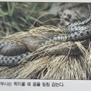 부림장갑