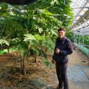 임마누엘농장 이미지