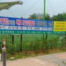 역곡배드민턴장 체육관 이미지