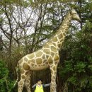 서현태권스쿨 이미지