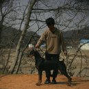 프라이드 켄넬 이미지