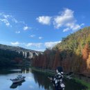 주정차단속-109 이미지