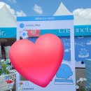 (주)헬시포레 | 💪시포레 2024 운동 페스티벌 후기 1 (행사장 편)