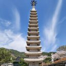강진-38 | 강진 남미륵사 가볼만한곳, 봄꽃부터 여름 연꽃까지 계절별 총정리