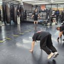 용인대SM복싱클럽 길동점 이미지