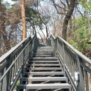 홍릉초교 이미지