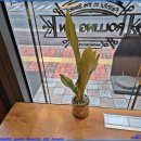 문샤인 카카오 검색결과