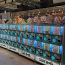 부산천사의학교 | [부산팝업/서면 가볼 만한 곳] 삼정타워 팝업스토어 '오늘의 귀여움' 방문 후기
