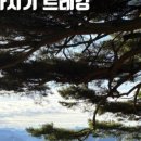 동막골흑염소 이미지