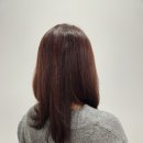 기분좋은날 미용실 | 가정동 루원시티 미용실 복구 클리닉 잘하는 에코레비 헤어앤스파