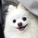 플랜디건축사사무소