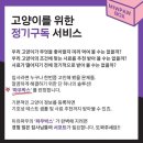 고양이정기구독 처음이라면 팔로미!