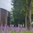 성지중학교 | 2025. 8. 15. 금. 당진 사진 여행 후기 -2: 솔뫼성지 / 합덕성당 / 신리성지 / 추사고택