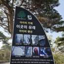 아이비매점 네이버블로그