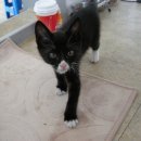 괴정4동-1 이미지