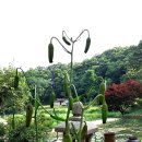 청림원 이미지