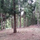 해담뜰 민박 이미지