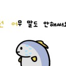 슈퍼붕 낚시카페 이미지