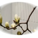 삼덕경로당 이미지