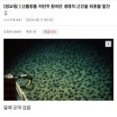 새로운 석유 기원의 가설 이미지