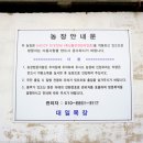대일목장 네이버블로그