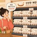 노브랜드 울산방어점 | 계란 가격 왜 이렇게 올랐나 싶어서 직접 찾아봤더니