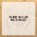 참편한마취통증의학과의원 | 허리 통증과 다리저림, 이제는 안녕! 통증의학과 방문 후기 feat. 내 돈 내산