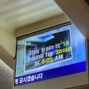 다매스텐다드 | 2월 14일 서울여행