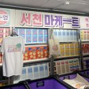 홍대 연남동 8월 팝업 맥문동 꽃 축제 정보와 서천마케트 다녀온 후기
