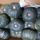 올레길님 미니밤호박 혼합 5kg 이미지