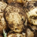 거창-가북-2 이미지