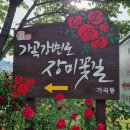 가곡강변로 이미지