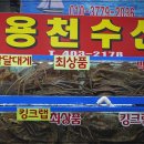 가락활어회센터 이미지